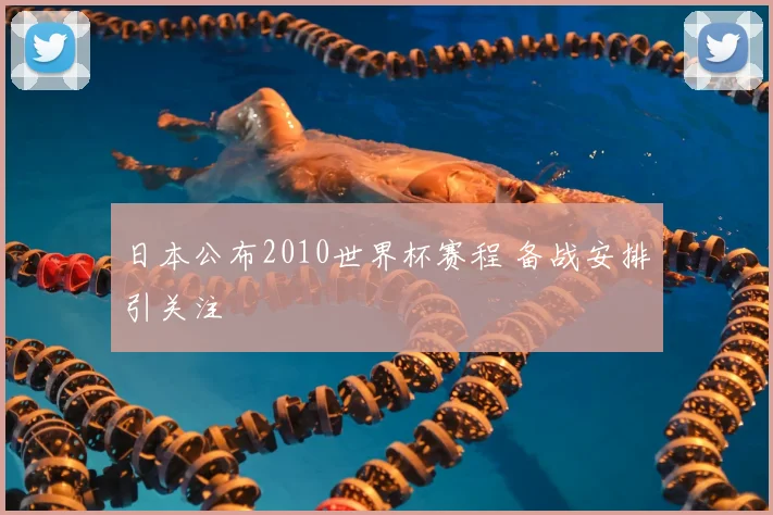 日本公布2010世界杯赛程 备战安排引关注