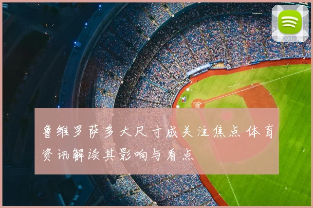 鲁维罗萨多大尺寸成关注焦点 体育资讯解读其影响与看点