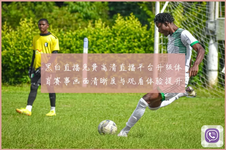 黑白直播免费高清直播平台升级体育赛事画面清晰度与观看体验提升