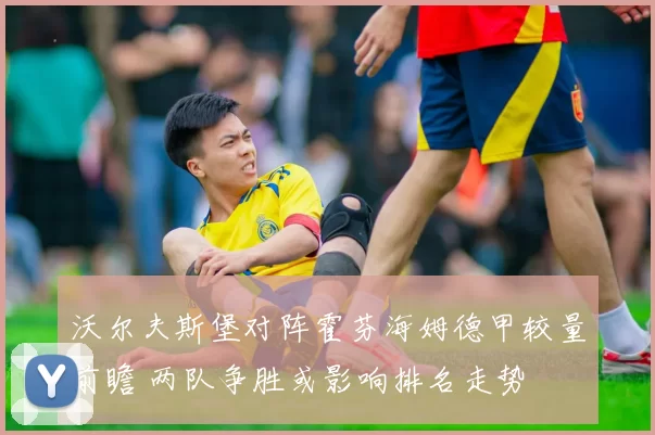 沃尔夫斯堡对阵霍芬海姆德甲较量前瞻 两队争胜或影响排名走势